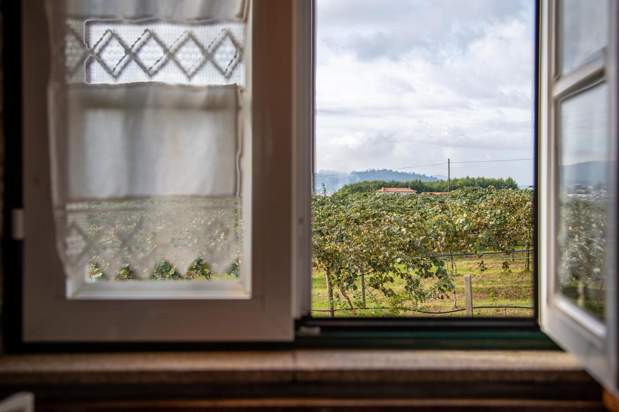 Quinta Do Carvalhal Alojamento, Penafiel Irivo المظهر الخارجي الصورة